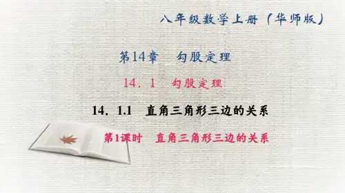华师版八年级数学上册课件 第14章 勾股定理 直角三角形三边的关系 第1课时 直角三角形三边的关系