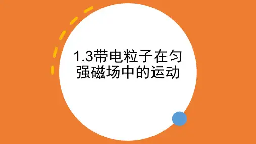 【高中物理】带电粒子在磁场中的运动 课件 高二下学期物理人教版(2019)选择性必修第二册