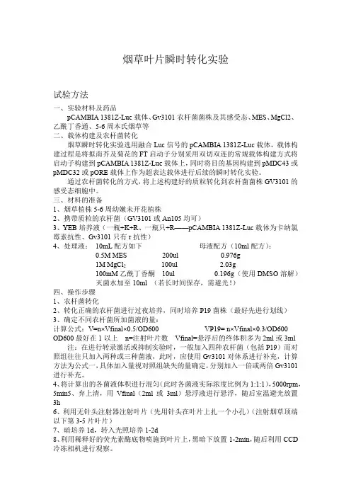 烟草瞬时转化实验步骤