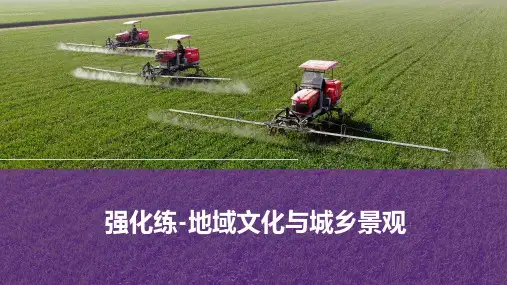 高考地理一轮专项复习练习卷(ppt版)-强化练(通用版)-地域文化与城乡景观(含解析)