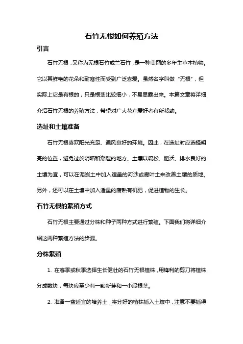石竹无根如何养殖方法