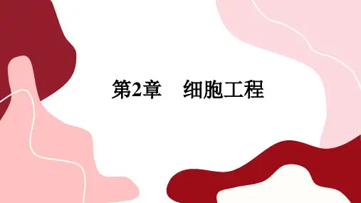 高中生物学选择性必修3植物细胞工程的应用