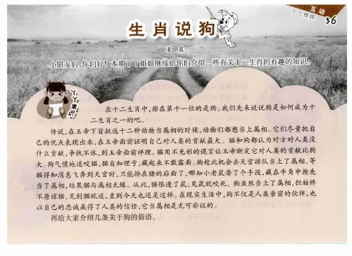 生肖说狗