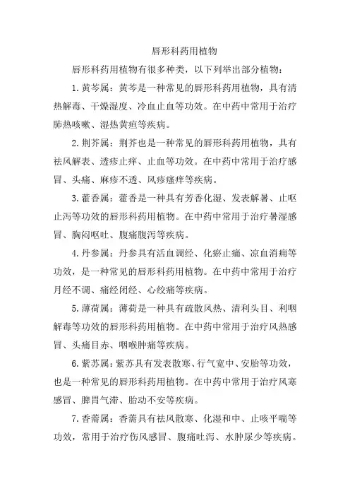 唇形科药用植物