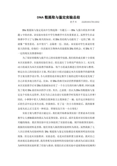 DNA粗提取与鉴定实验总结