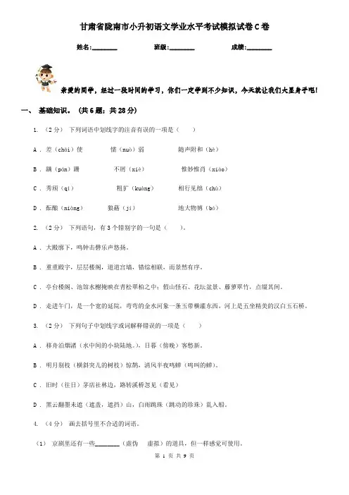 甘肃省陇南市小升初语文学业水平考试模拟试卷C卷