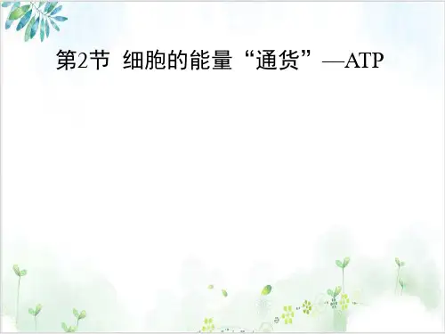 人教版生物必修一第五章-细胞的能量通货—ATP(21张)-PPT优秀课件