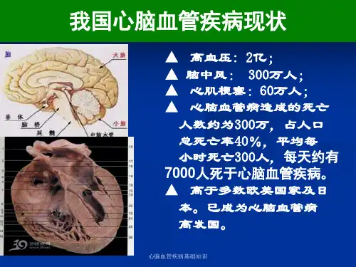 心脑血管疾病基础知识
