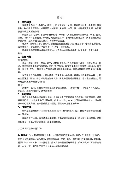 桉树基本知识