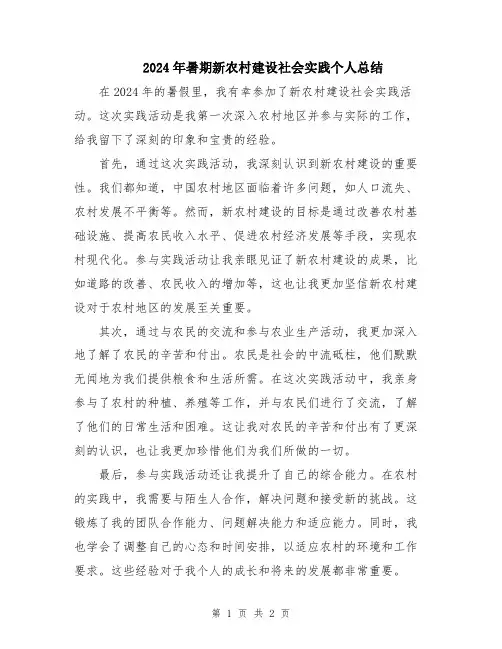 2024年暑期新农村建设社会实践个人总结