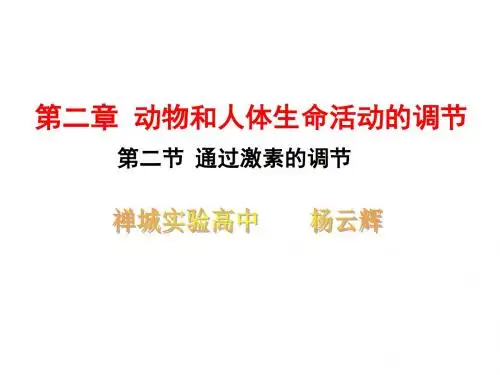 高中生物必修三《通过激素的调节》课件(共44张PPT)
