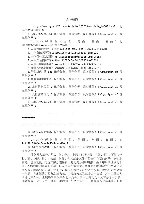 人体结构图