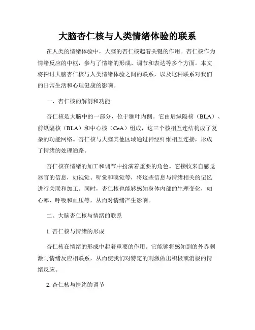 大脑杏仁核与人类情绪体验的联系