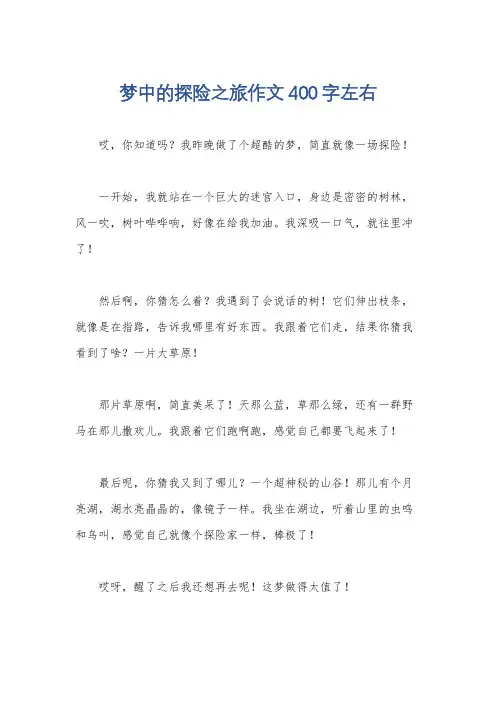 梦中的探险之旅作文400字左右