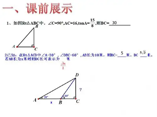 1.6利用三角函数测高