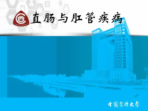 直肠肛管疾病-精品医学课件