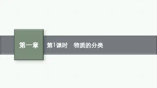 人教版高中化学必修第一册精品课件 第一章 物质及其变化 第一节 第1课时 物质的分类