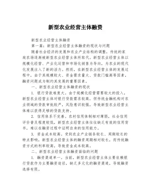 新型农业经营主体融资2篇