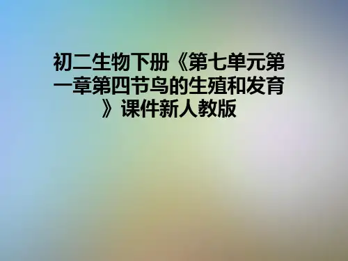 初二生物下册《第七单元第一章第四节鸟的生殖和发育》课件新人教版