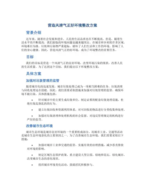 营造风清气正好环境整改方案