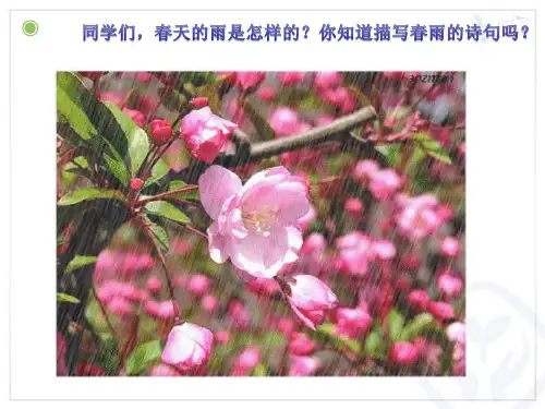 音乐课件《小雨沙沙沙》(公开课附教案)