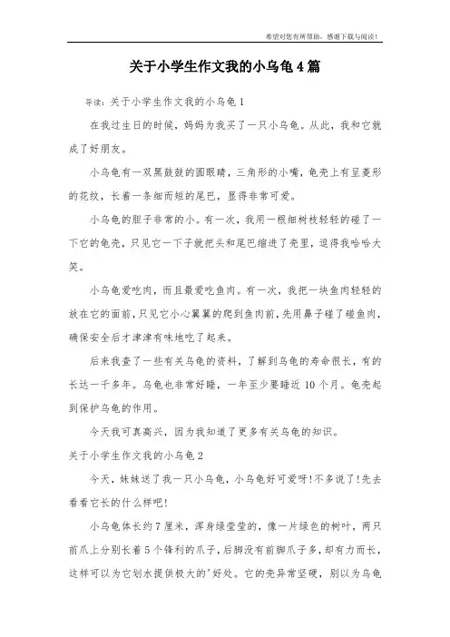 关于小学生作文我的小乌龟4篇