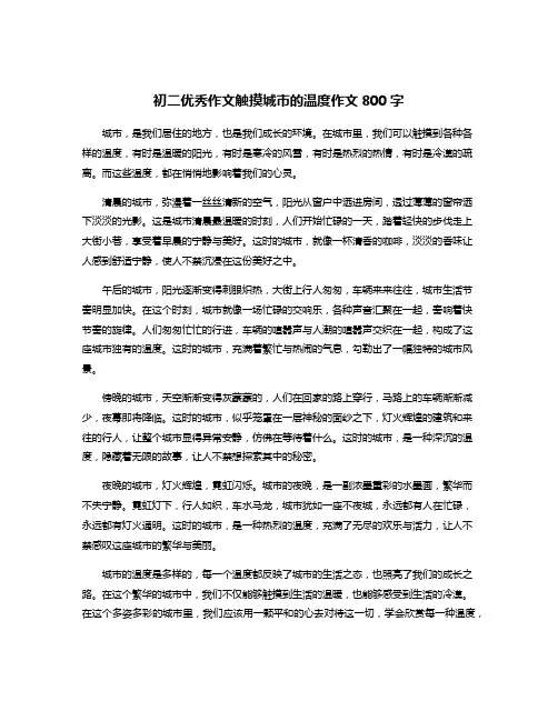 初二优秀作文触摸城市的温度作文800字