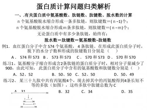 蛋白质计算方法归纳
