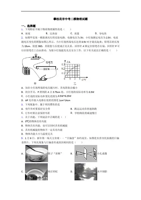 攀枝花市中考二模物理试题