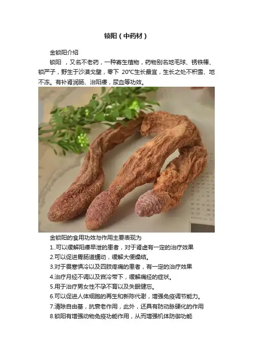 锁阳（中药材）