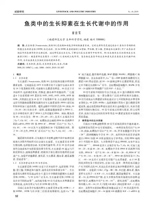 鱼类中的生长抑素在生长代谢中的作用