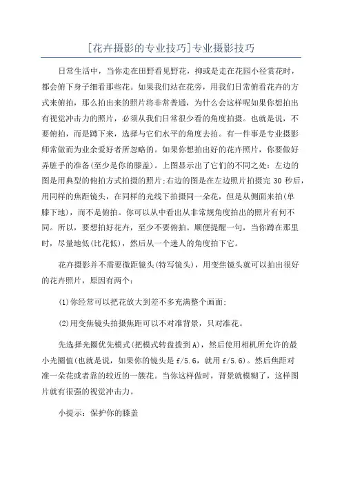 [花卉摄影的专业技巧]专业摄影技巧