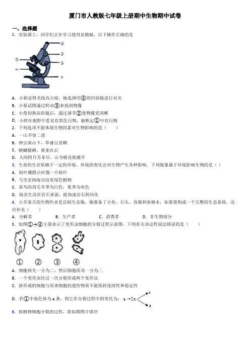 厦门市人教版七年级上册期中生物期中试卷