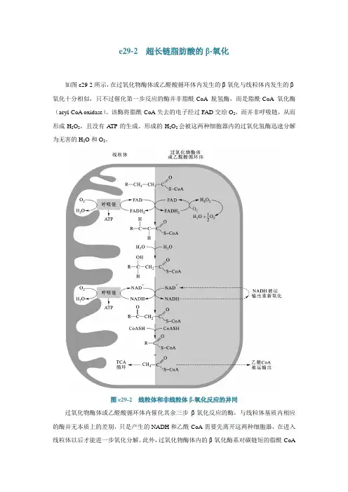 e29-2超长链脂肪酸的β-氧化
