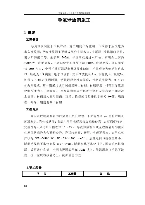 导流泄放洞施工方案