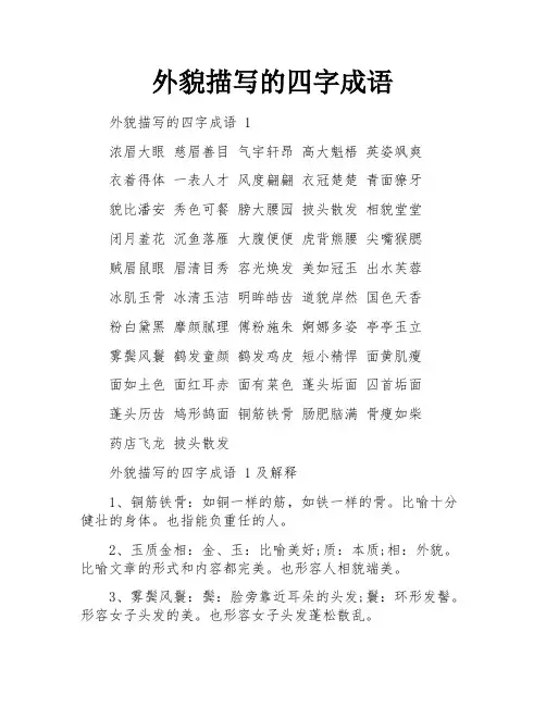 外貌描写的四字成语