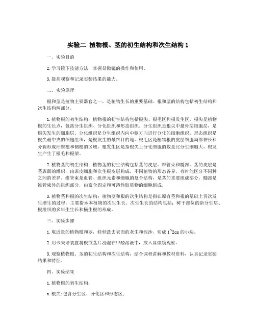 实验二 植物根、茎的初生结构和次生结构1