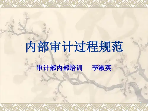 内控审计流程规范培训资料(ppt 81页)