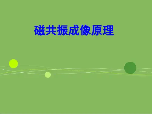 磁共振成像原理