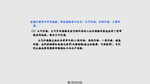 环境污染概述PPT课件