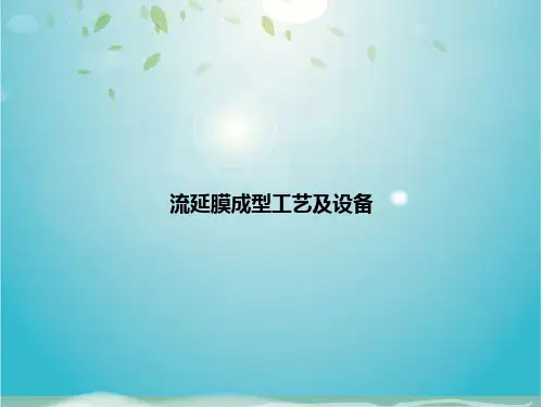 流延膜成型工艺及设备