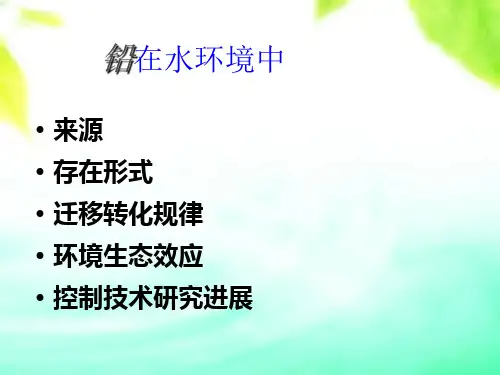水体中的铅污染