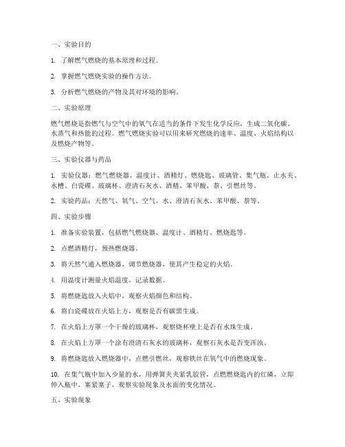 燃气燃烧实验报告