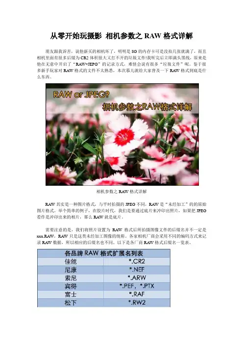 从零开始玩摄影 相机参数之RAW格式详解