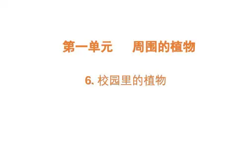 1.6《校园里的植物》(课件)-(共13张PPT)一年级科学上册(教科版)
