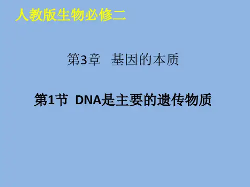 人教版生物必修二第三章第1节  DNA是主要的遗传物质教学课件(共33张PPT)