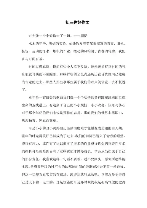 初三你好作文精选