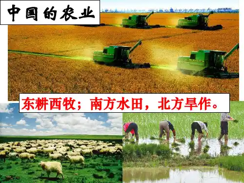 2019年高二中国区域地理之中国农业(27张PPT)