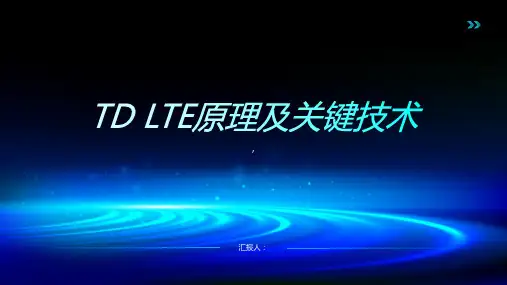 TD LTE原理及关键技术