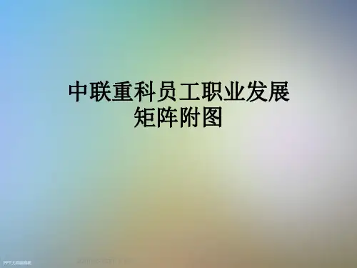 中联重科员工职业发展矩阵附图